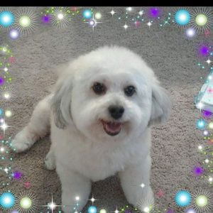 Meet your Posher, Gloria